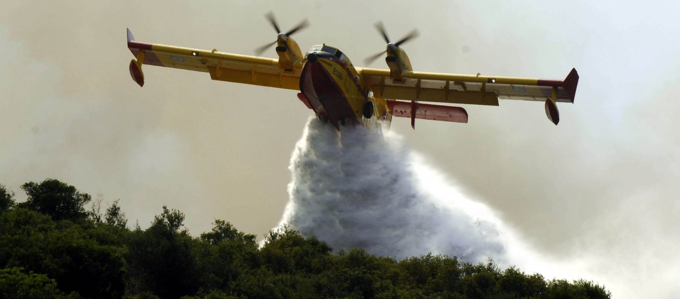 Σε εξέλιξη η φωτιά στη Ηλεία - Τρία πυροσβεστικά αεροπλάνα στο σημείο